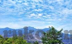 足球比分哪个靠谱-足球比分APP大揭秘，哪款才是你的靠谱搭档？
